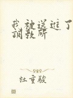 我被送进了私奴调教所