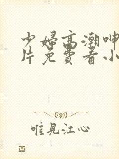 少妇高潮呻吟A片免费看小说