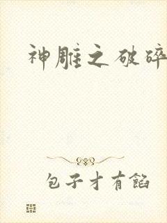 神雕之破碎之旅