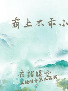 霸上不乖小逃妻