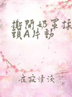 撕开奶罩揉吮奶头A片动