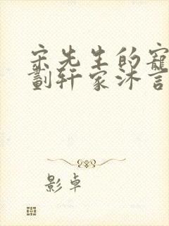 宋先生的宠妻计划轩家沐言