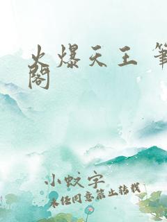 火爆天王 笔趣阁