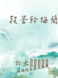 段誉干梅兰竹菊