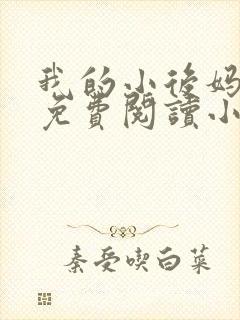 我的小后妈全文免费阅读小说