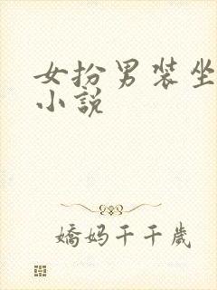 女扮男装坐江山小说