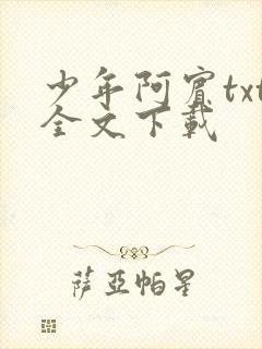 少年阿宾txt全文下载
