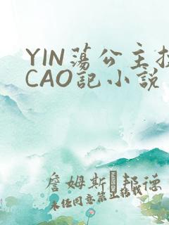 YIN荡公主挨CAO记小说