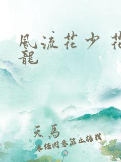 风流花少 花睿龙