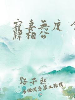 宠妻无度  金牌相公