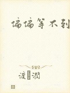 偏偏等不到小说