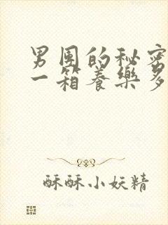 男团的秘密BY一箱养乐多小说