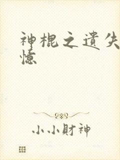 神棍之遗失的记忆