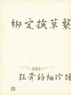 绑定挨草系统后