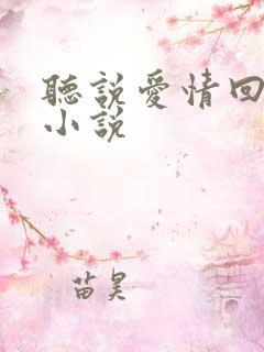 听说爱情回来过小说