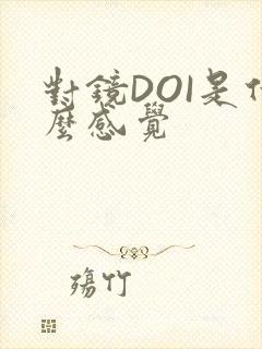 对镜DOI是什么感觉