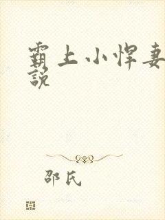 霸上小悍妻 小说