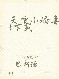 天价小娇妻txt下载