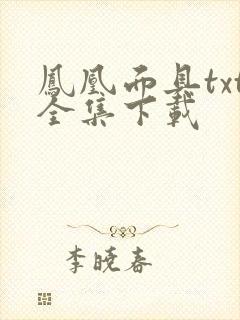 凤凰面具txt全集下载