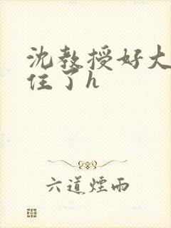 沈教授好大含不住了h