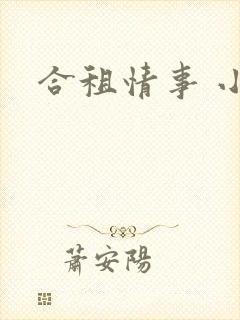 合租情事 小说