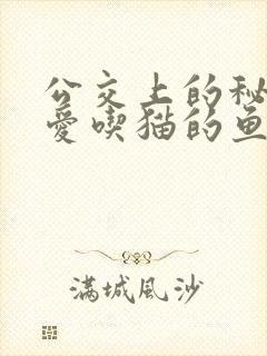 公交上的秘密 爱吃猫的鱼