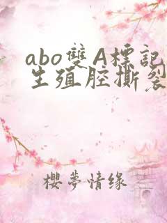 abo双A标记生殖腔撕裂