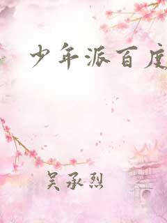 少年派百度百科