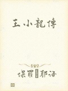 王小龙传