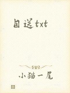 目送txt