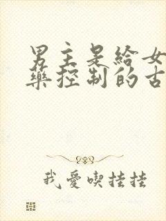 男主是给女主喂药控制的古言