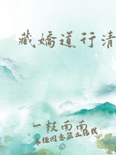 藏娇道行清浅