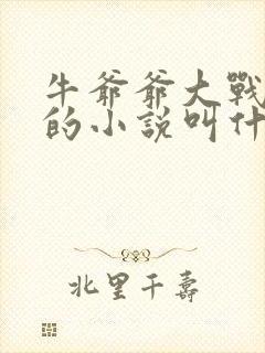 牛爷爷大战小丽的小说叫什么