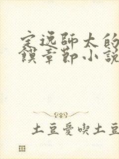 定逸师太的肉夹馍章节小说