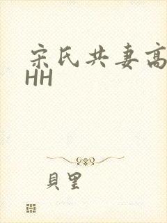 宋氏共妻高黄HHH