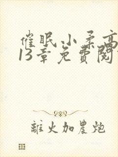 催眠小柔高达第13章免费阅读