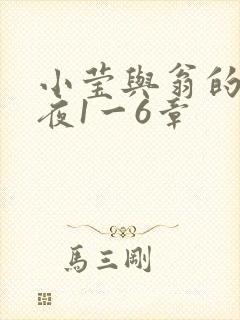 小莹与翁的销魂夜1一6章