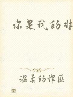 你是我的非卖品