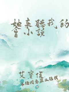 她来听我的演唱会小说