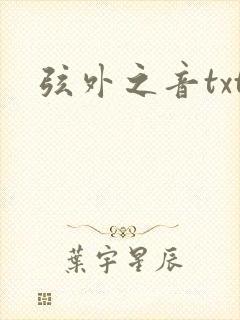 弦外之音txt