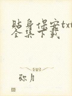 贴身保安txt全集下载