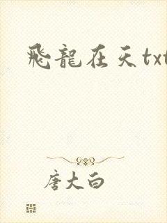 飞龙在天txt