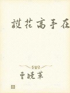 护花高手在江湖