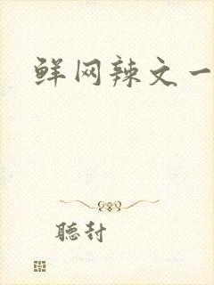 鲜网辣文一对一