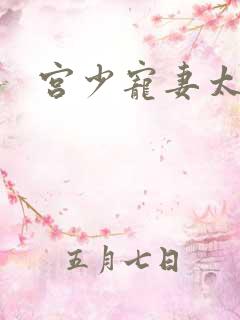 宫少宠妻太凶猛