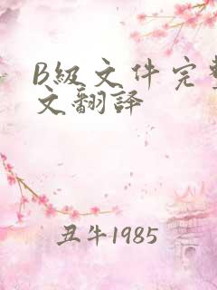 B级文件完整中文翻译