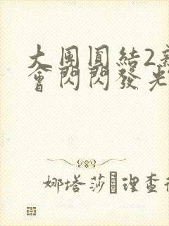 大团圆结2亲情会闪闪发光亲情会2