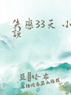 失恋33天 小说