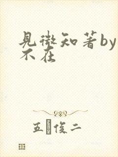 见微知著by音不在