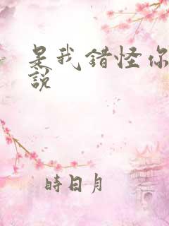 是我错怪你了小说